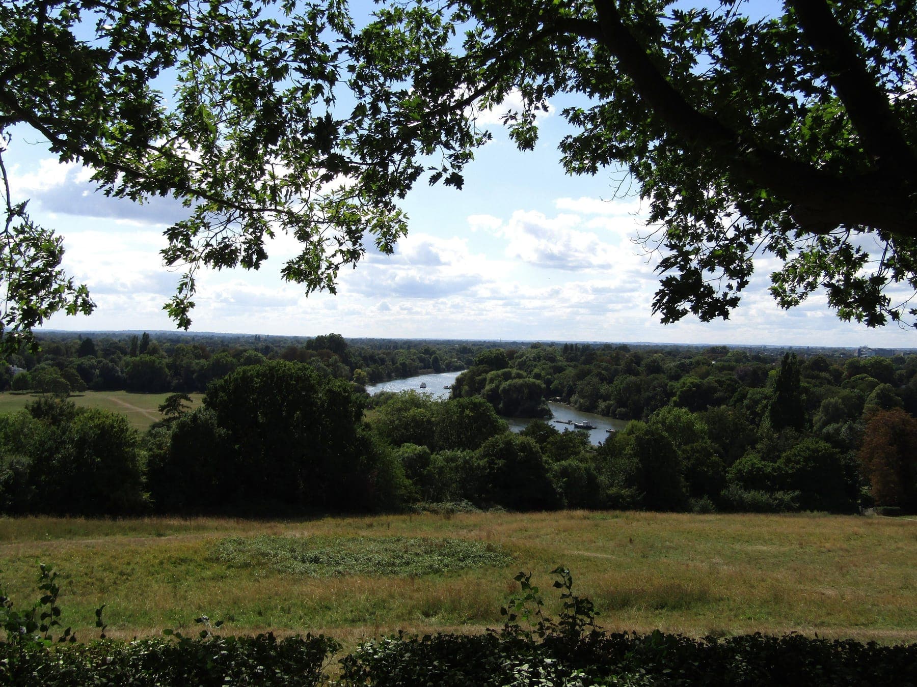 The protected view of the Thames from Richmond Hill